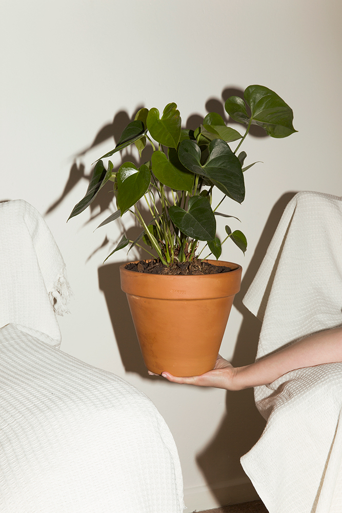 Jan McCullough, 'Tupperware 4', from the series Home Instruction Manual, 2014, courtesy the artist